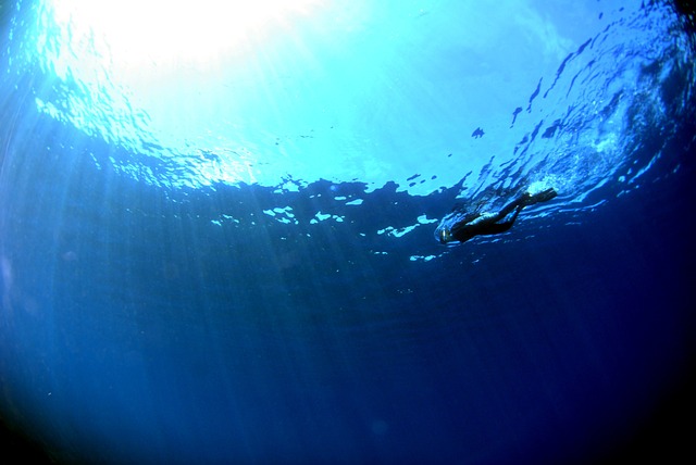 海の生態保全や漁業などで活躍が期待される水上・水中ドローン！